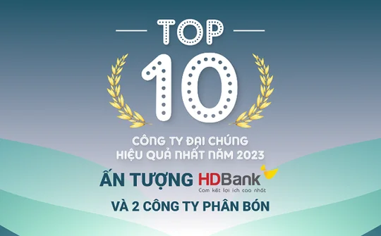 TOP 10 công ty đại chúng hiệu quả nhất năm 2023: Ấn tượng HDBank, Đạm Phú Mỹ và Hóa dầu Đức Giang