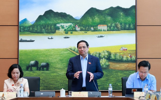 Thủ tướng: Lấy thực tiễn làm thước đo để nghiên cứu sửa Luật Đất đai