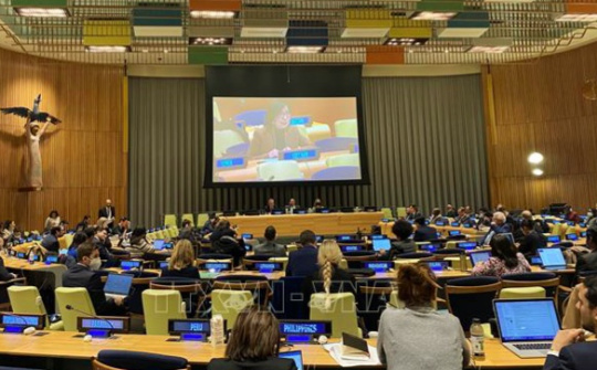 Bản sắc 'ngoại giao cây tre': Việt Nam thể hiện chính sách đối ngoại tích cực, tiến bộ