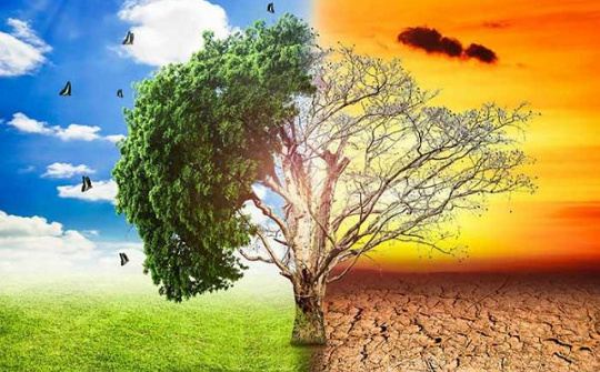 Biến đổi khí hậu và vấn đề bảo đảm quyền có lương thực tại Việt Nam: thực trạng và kiến nghị