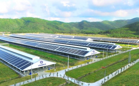 Vinamilk đẩy mạnh lộ trình giảm “dấu chân Carbon”, hướng đến Net Zero