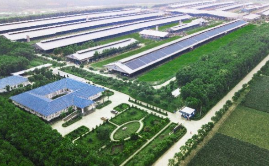 Trang trại “Green Farm”, ‘Trung hòa Carbon”- Những bước chân đầu tiên của Vinamilk trong lộ trình đến Net Zero