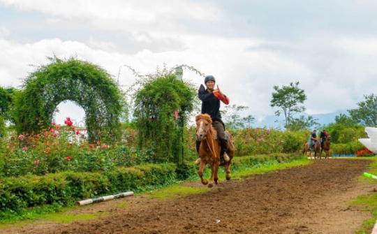 Trình diễn phi ngựa vượt chướng ngại vật, xuyên vòng lửa ở Fansipan