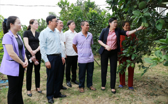 Thái Nguyên: Trên 121 tỷ đồng đầu tư cho vùng đồng bào DTTS huyện Võ Nhai