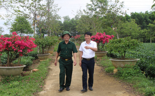 Màu hoa đỏ giữa núi rừng Hương Khê