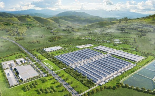 Giải đáp chất lượng lợi nhuận qua phân tích các chỉ số tài chính của Vinamilk