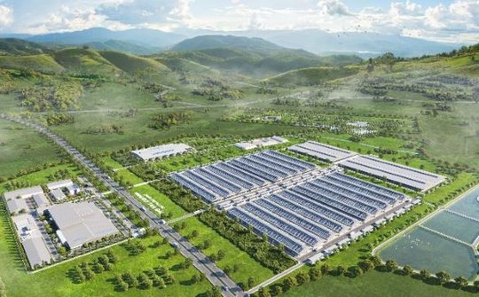 Giải đáp chất lượng lợi nhuận qua phân tích các chỉ số tài chính của Vinamilk