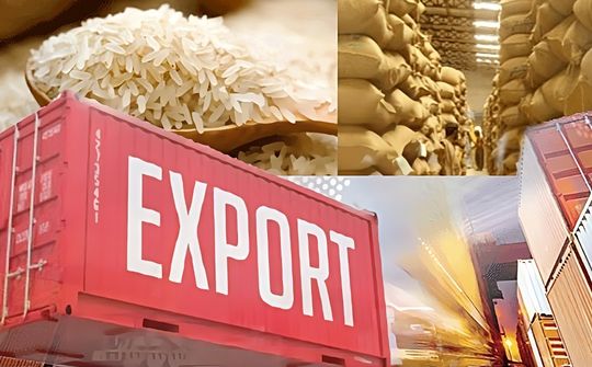 Tăng cường thực hiện các nhiệm vụ, giải pháp thúc đẩy sản xuất, xuất khẩu gạo