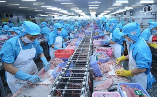 An Giang tập trung phát triển sản xuất tạo nguồn cung bền vững cho xuất khẩu