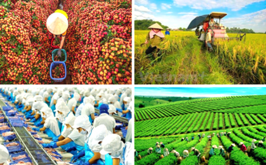 Giải pháp phát triển ngành nông nghiệp đến năm 2030 theo Nghị quyết Trung ương Đảng khóa XIII