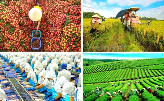 Giải pháp phát triển ngành nông nghiệp đến năm 2030 theo Nghị quyết Trung ương Đảng khóa XIII