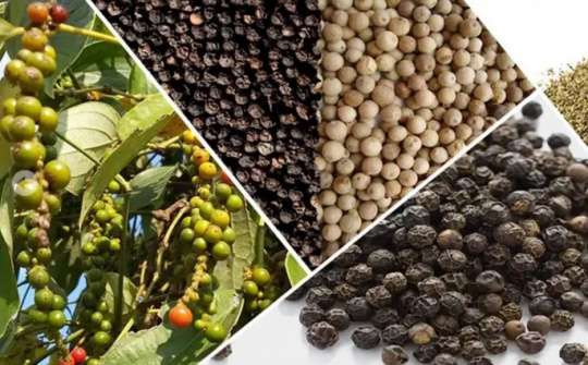Hỗ trợ các doanh nghiệp xuất khẩu hồ tiêu sang thị trường UAE