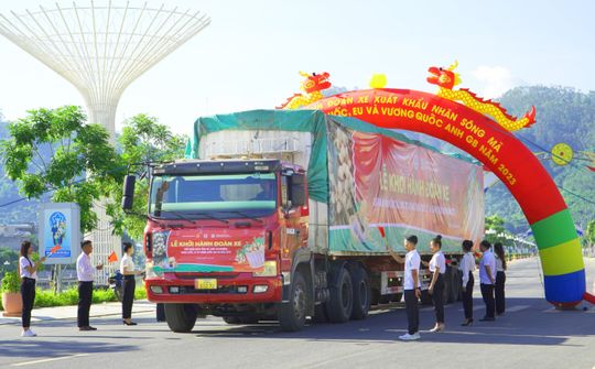 Nhãn Sông Mã xuất khẩu Trung Quốc, EU và Vương quốc Anh