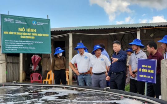 Hà Tĩnh: Giải pháp phát triển nuôi tôm trên cát