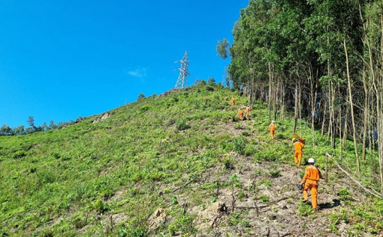 EVNNPC: Kết quả hoạt động tháng 7 và nhiệm vụ tháng 8 năm 2023