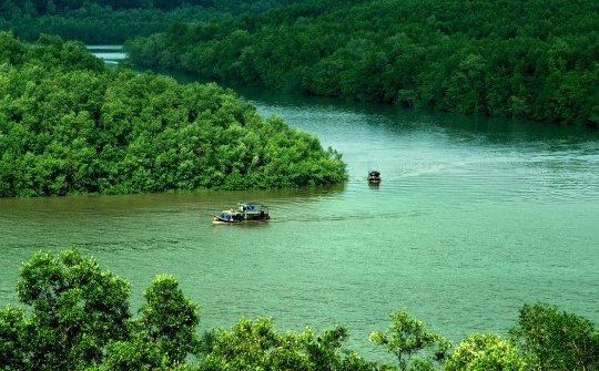 Cần Giờ hướng đến đô thị xanh