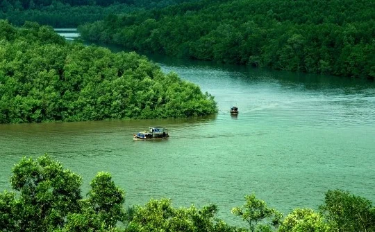 Cần Giờ hướng đến đô thị xanh