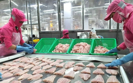 Đồng Tháp: Sẵn sàng đồng hành cùng các doanh nghiệp thủy sản