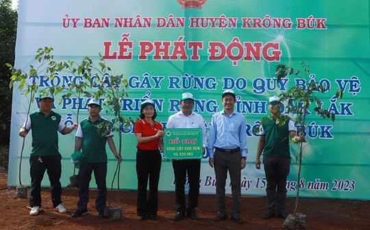 Ngân hàng SeABank trao tặng 25.000 cây phủ xanh đất rừng tại Đắk Lắk