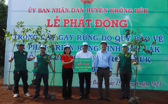 Ngân hàng SeABank trao tặng 25.000 cây phủ xanh đất rừng tại Đắk Lắk