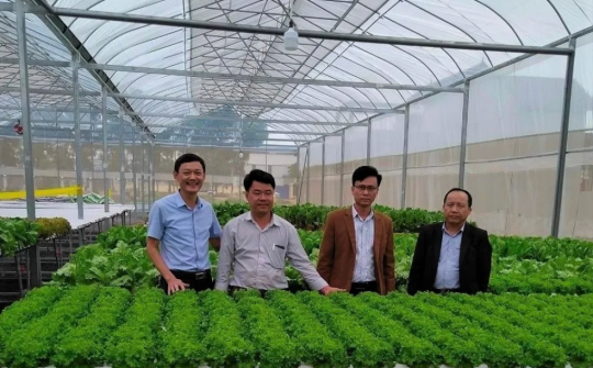 Thanh Hoá: Tập trung tháo gỡ khó khăn trong xây dựng Nông thôn mới