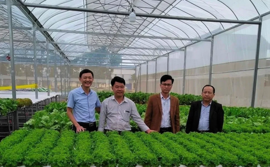 Thanh Hoá: Tập trung tháo gỡ khó khăn trong xây dựng Nông thôn mới