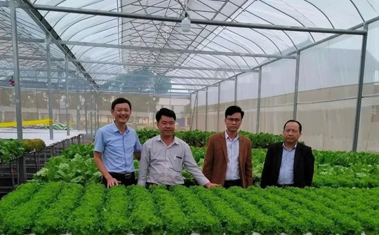 Thanh Hoá: Tập trung tháo gỡ khó khăn trong xây dựng Nông thôn mới