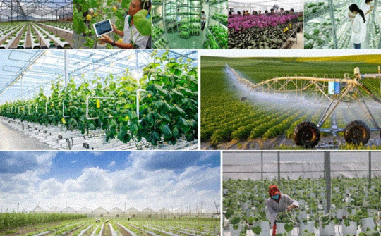 Nông nghiệp, nông dân, nông thôn Việt Nam: Mạch nguồn quan trọng trong phát triển kinh tế xã hội của đất nước