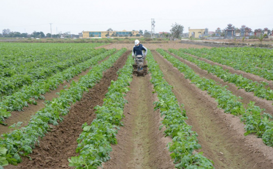 Nam Định hướng đến nền nông nghiệp hữu cơ