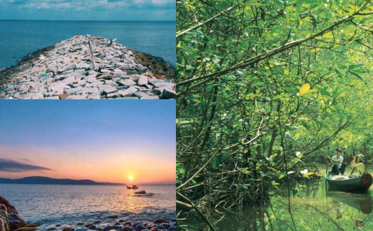 TP.HCM: Thành lập Ban Chỉ đạo phát triển ngành du lịch huyện Cần Giờ