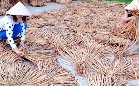 Trà Vinh: Nhiều chủ trương hiệu quả phát triển làng nghề truyền thống