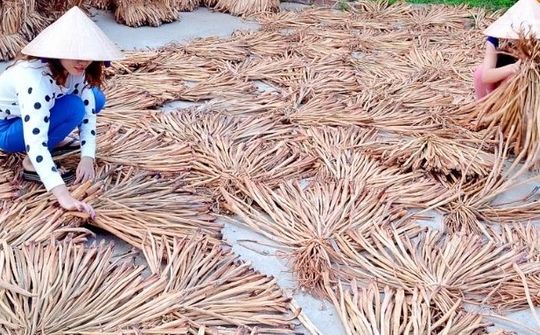 Trà Vinh: Nhiều chủ trương hiệu quả phát triển làng nghề truyền thống