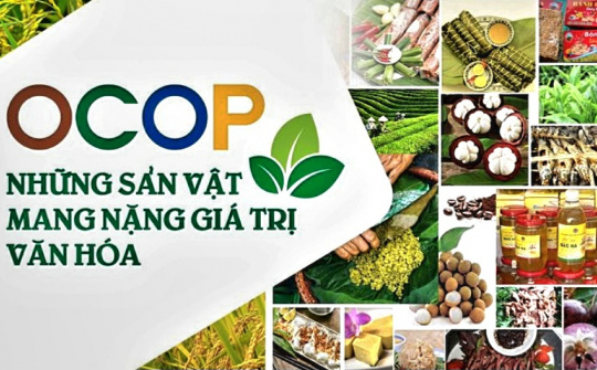 Hợp tác xã là chủ thể nền tảng quan trọng trong phát triển sản phẩm OCOP ở Việt Nam