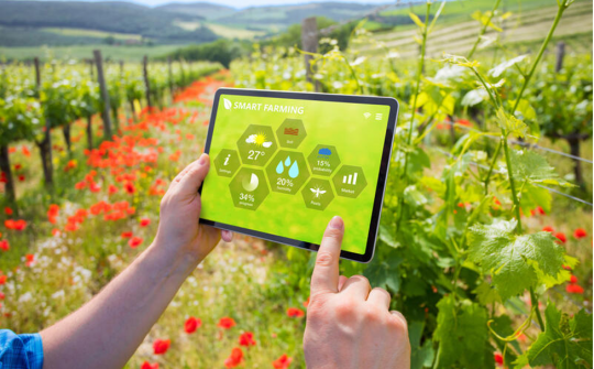 Thúc đẩy nông nghiệp phát triển bền vững nhờ số hóa