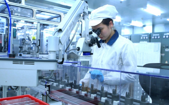 Phát triển thị trường hàng hóa xanh ở Việt Nam