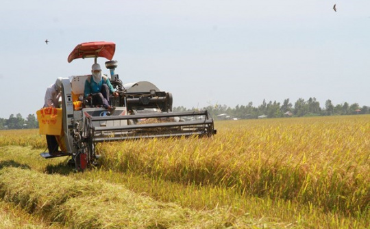 Tận dụng thời cơ xuất khẩu gạo