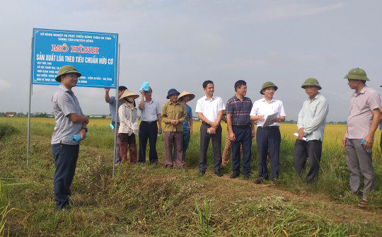 Hà Tĩnh: Hội thảo đầu bờ sản xuất lúa hữu cơ Sông Gianh trên đất Cẩm Xuyên