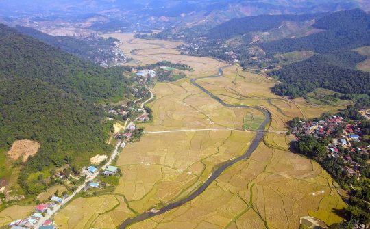 Xây dựng thương hiệu cho các sản phẩm nông sản chủ lực của Sơn La