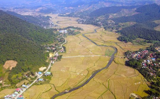 Xây dựng thương hiệu cho các sản phẩm nông sản chủ lực của Sơn La