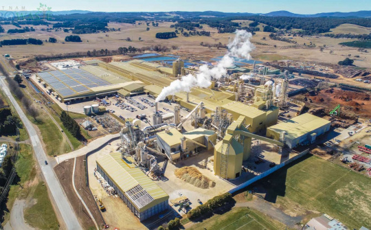 Bắc Kạn mong sớm triển khai dự án Nhà máy điện sinh khối