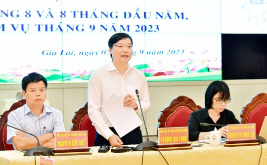 Gia Lai triển khai quyết liệt, hiệu quả các giải pháp phát triển kinh tế-xã hội