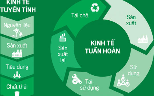 Đề xuất Cơ chế thử nghiệm phát triển kinh tế tuần hoàn