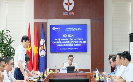 EVN đánh giá cao công tác chuẩn bị PCTT&TKCN của PC Nam Định