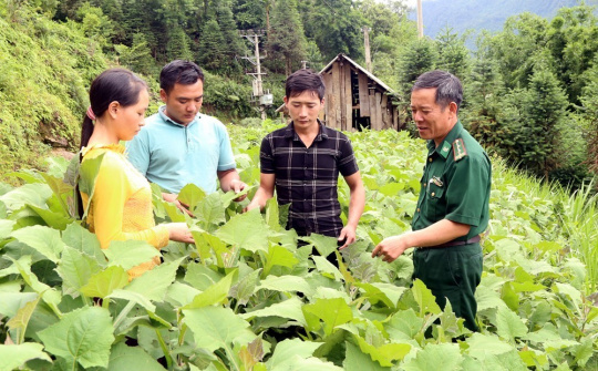 Tấm gương trưởng thôn quyết tâm xóa nghèo ở bản người Mông