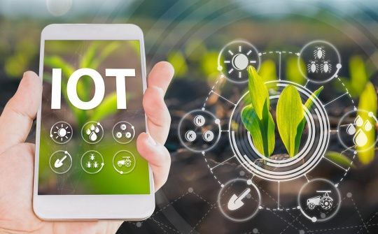 Đầu tư phát triển nông nghiệp công nghệ cao nhìn từ góc độ chính sách, pháp luật