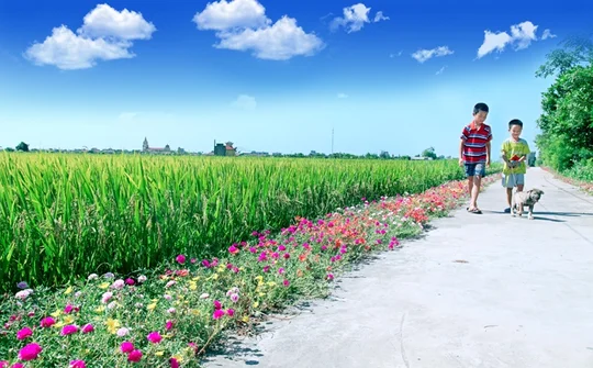 Quyết liệt triển khai thực hiện các chương trình mục tiêu quốc gia