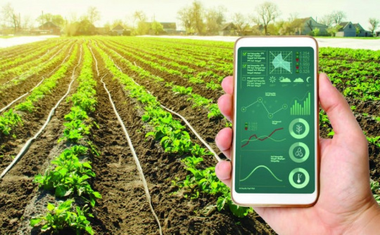 Developing ecological agriculture and value chains