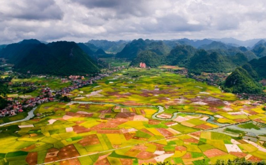 Quy chế hoạt động của Hội đồng điều phối vùng trung du và miền núi phía Bắc