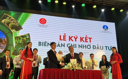 Đắk Lắk: Cần chuyển từ tư duy “sản xuất nông nghiệp” sang tư duy “kinh tế nông nghiệp”