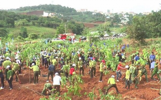 Chung tay lan toả “Ngày hội trồng cây vì Đắk Nông xanh”